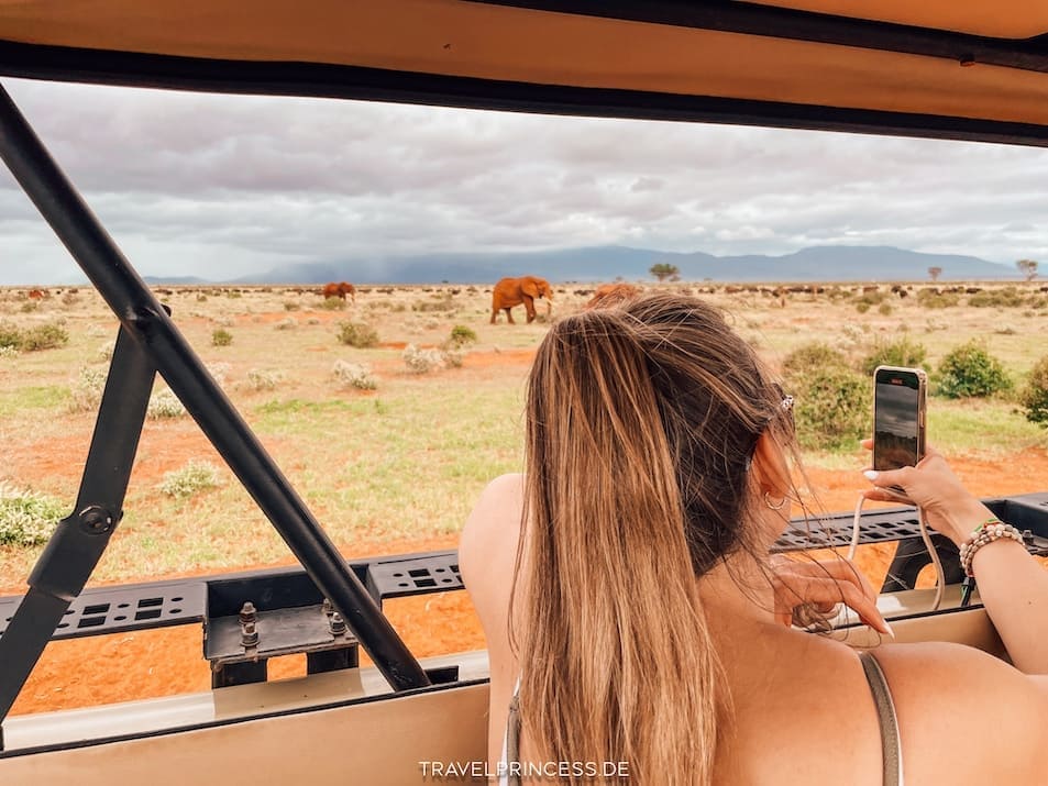 Safaritouren Kenia Urlaub Reisetipps Reiseblog Reiseerfahrungen Park Big Five