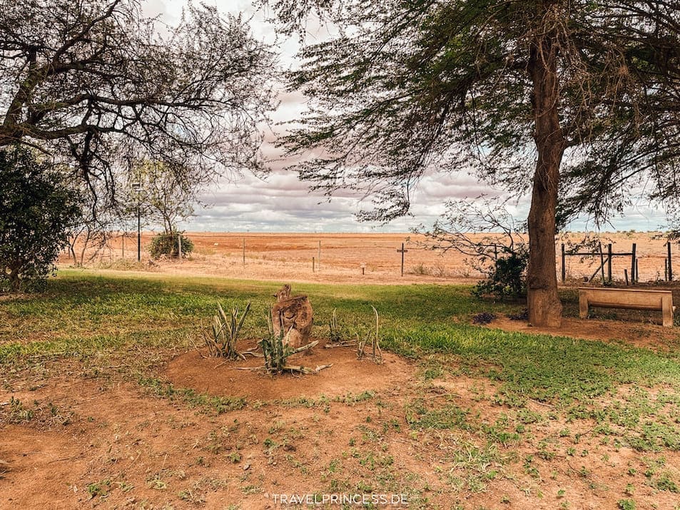 Ashnil Aruba Lodge Kenia Afrika Lodges Hotels Park Big Five Elefanten