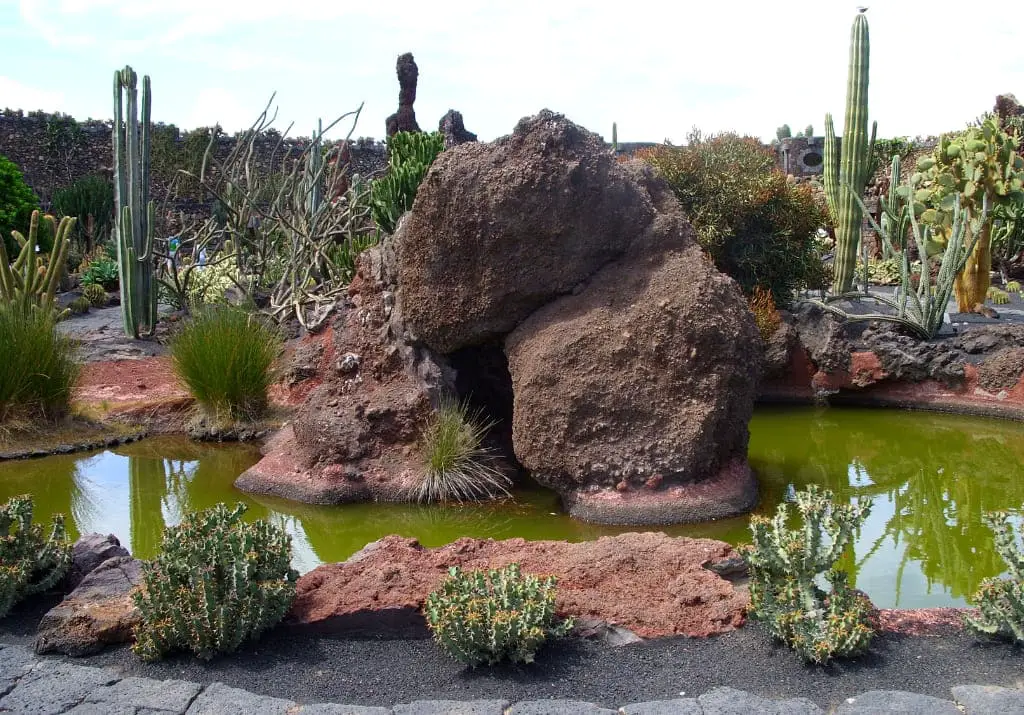 Lanzarote Jardín de Cactus