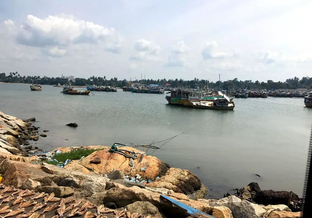 Sri Lanka Beruwala - Blick auf den Hafen und Trockenfisch