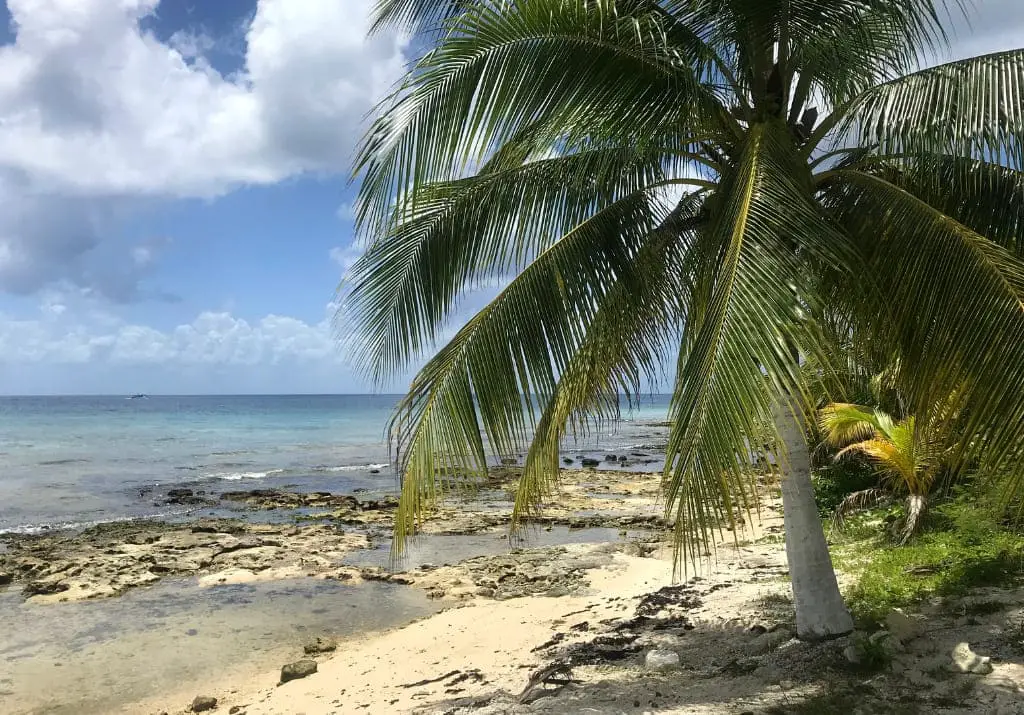 Cozumel Reisebericht Yucatán Mexiko Strand Schnorcheln