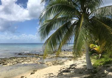 Cozumel Reisebericht - die Trauminsel vor der Küste Mexikos