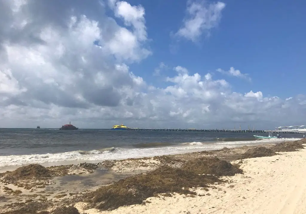 Playa del Carmen Mexiko Yucatán Halbinsel Reisebericht Sehenswürdigkeiten Hafen Fähre Cozumel Strand Braunalgen