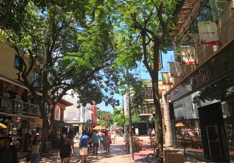 Playa del Carmen Mexiko Yucatán Halbinsel Reisebericht Sehenswürdigkeiten 5th Avenue
