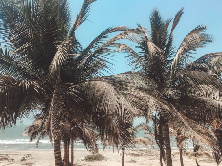 Gambia Reisebericht Kotu Beach Sunprime Tamala Beach