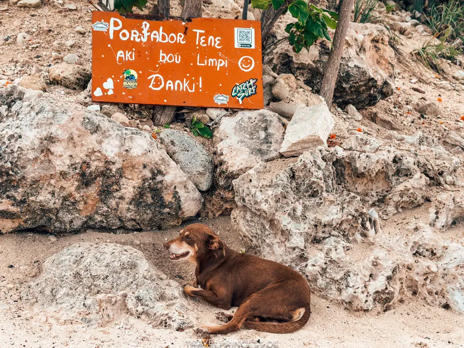 Playa Kanoa Karibik Surfen Reisetipps Reiseblog Travelprincess