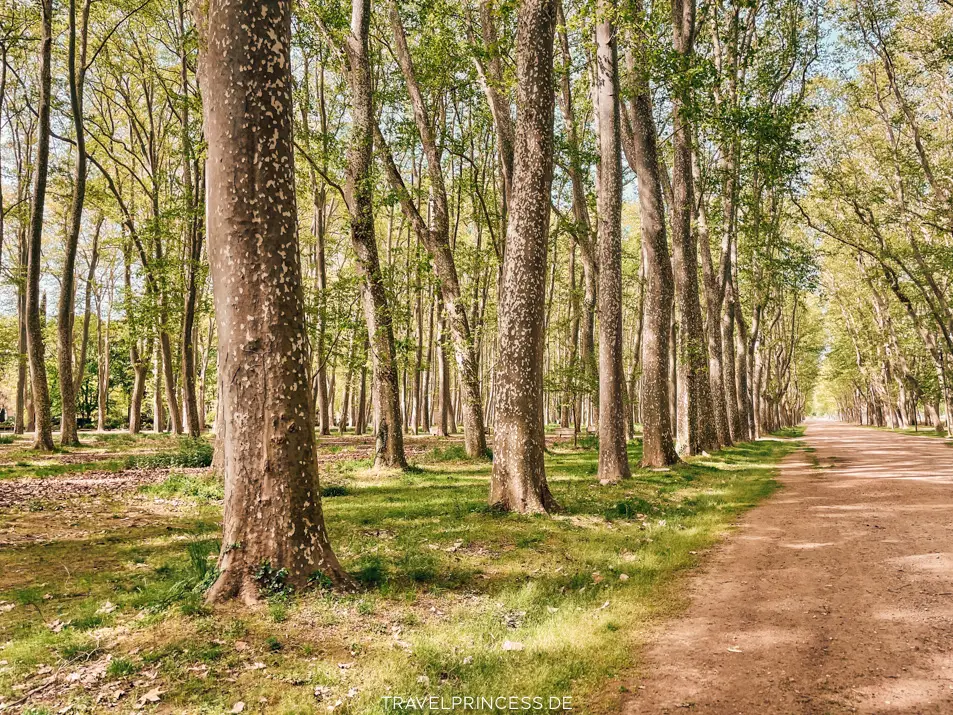 Deu de la Devesa La Devesa Park Spanien Sehenswürdigkeiten Highlights