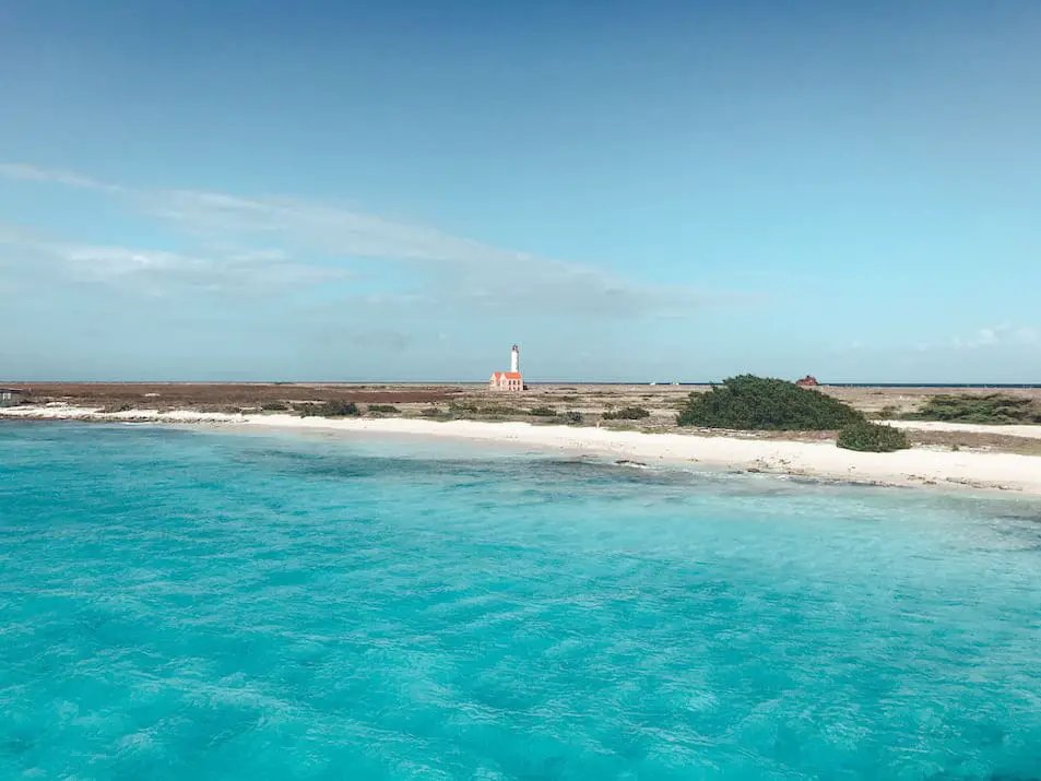 Klein Curaçao Reisebericht Baden tauchen schnorcheln Strand beach Schildkröten