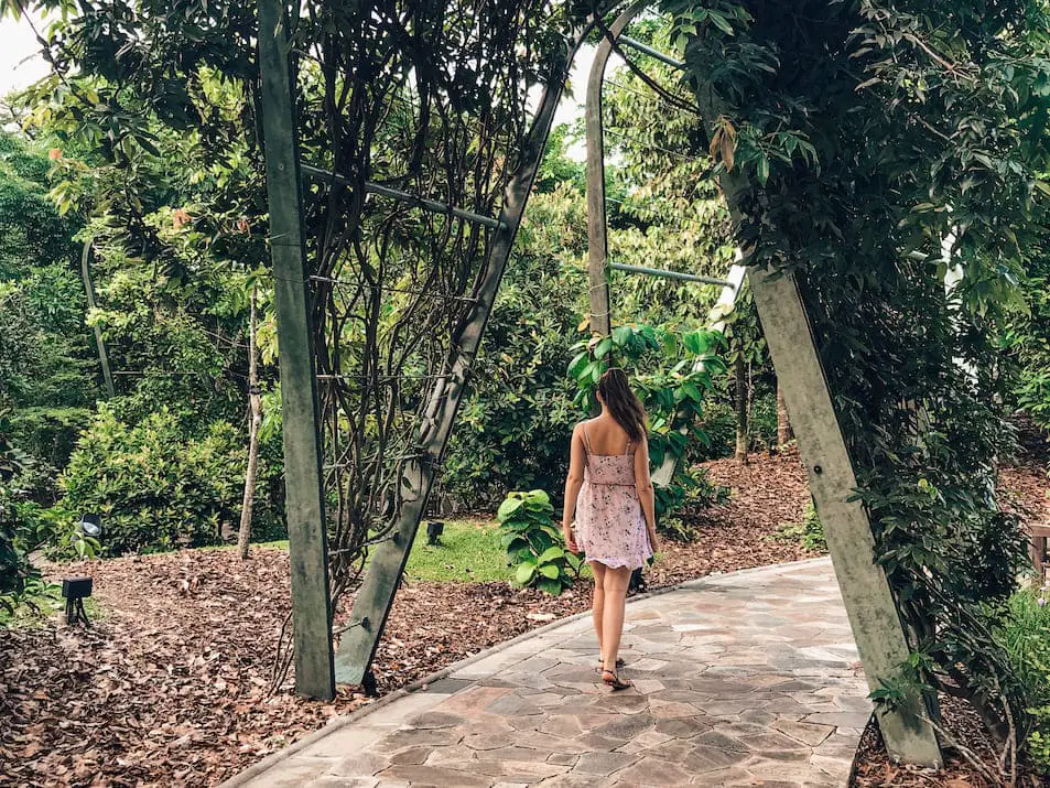 Singapur Reisetipps Geheimtipps Sehenswürdigkeiten Reisebericht Botanic Garden Singapore