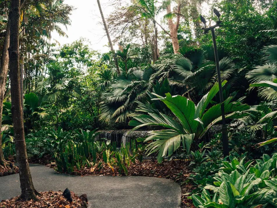 Singapur Sehenswürdigkeiten, Reisetipps, Highlights Reisebericht Botanischer Garten