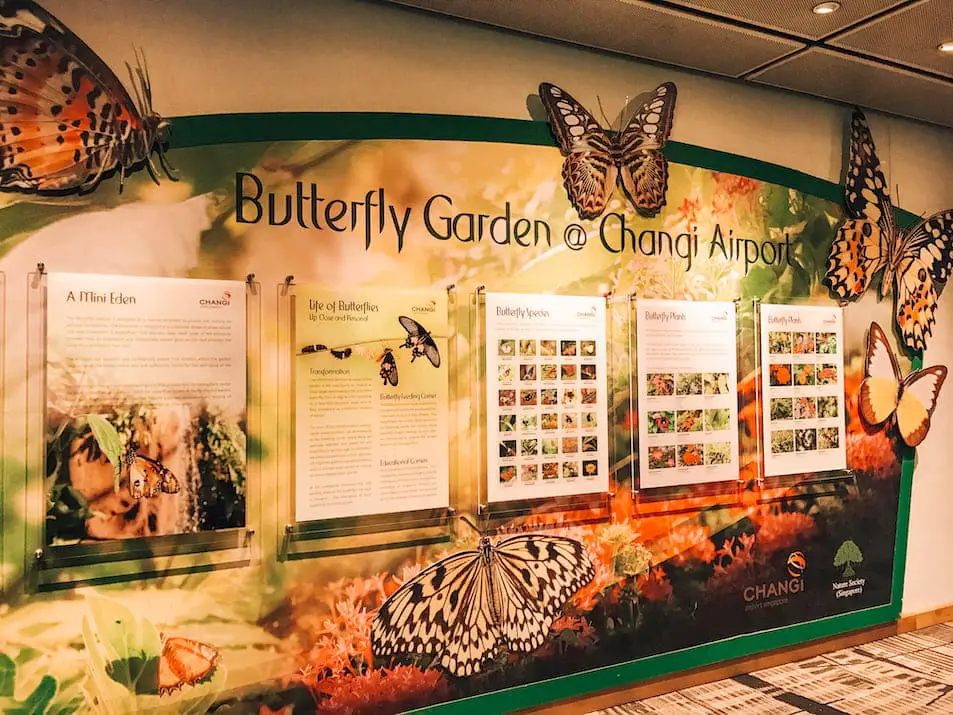 Singapur Airport Reisetipps Wartezeit verkürzen Butterflygarden