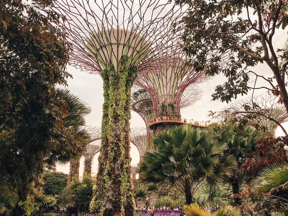 Singapur Airport Reisetipps Wartezeit verkürzen kostenlose Stadtrundfahrt Gardens by the Bay