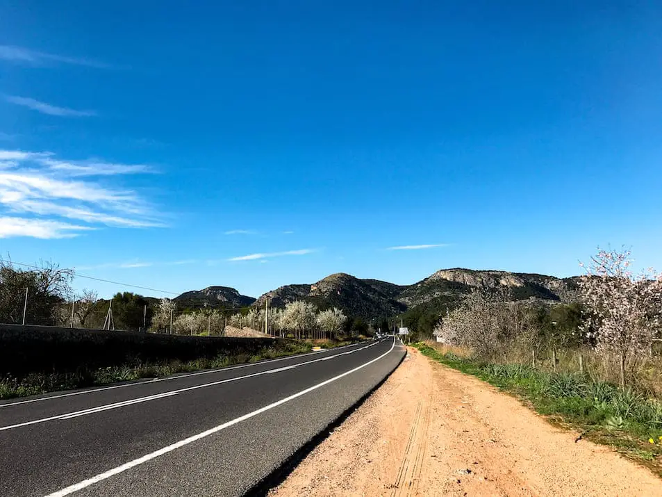 Mandelblüte Mallorca 2020 Bilder Fotos Orte Wann blüht sie Routen