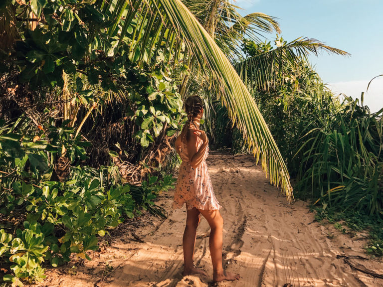 Reiseziele März Sri Lanka Fernreisen