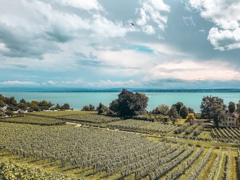 Bodensee Reisetipps Weinberge Camping Badeurlaub Sommer Ausflugsziele Travelprincess Reiseblog