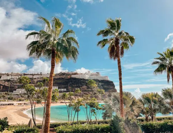 Gran Canaria Reisetipps und Sehenswürdigkeiten Strände Traumstrand weißer Sand Palmen Travelprincess