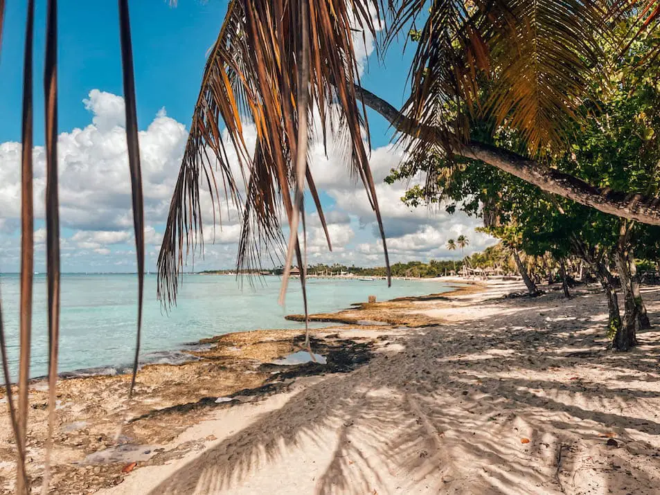 Bayahibe Playa Dominicus Dominikanische Republik Süden Reiseblog Reisetipps Reiseführer Travelprincess