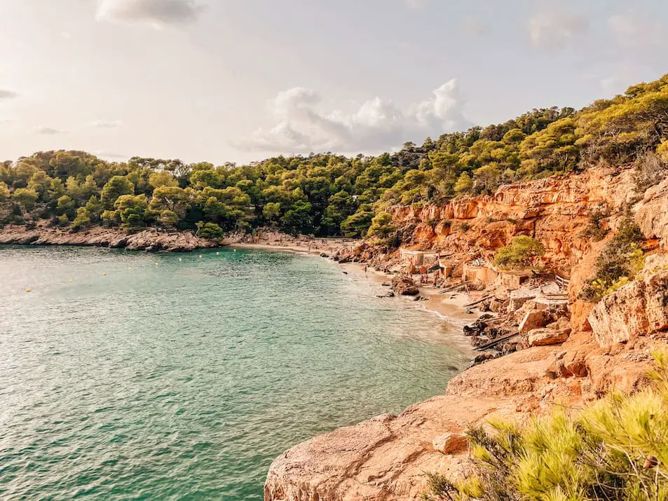 Cala Saladeta Reisetipps Urlaub Ibiza Reisebericht Strandguide