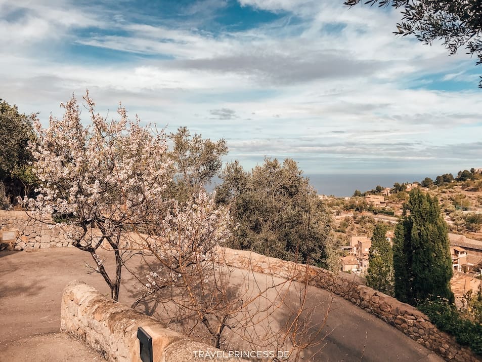 Mallorca Mandelblüte Februar Reisetipps Urlaub Valentinstag romantisch Hotel 