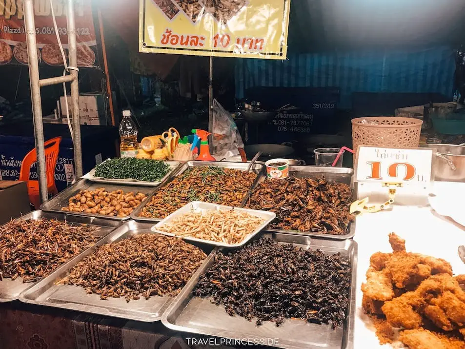 Ungeziefer Foodmarket Thailand Nachtmarkt 