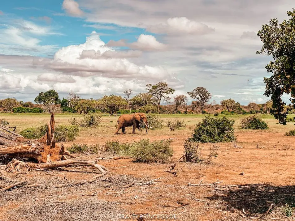 Elefanten Safari Urlaub Veranstalter Agenturen buchen Travelprincess Reiseblog