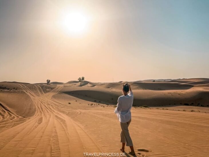 Abu Dhabi Tipps Sehenswürdigkeiten Ausflüge Reiseführer Reiseblog Travelprincess Nadja Probst