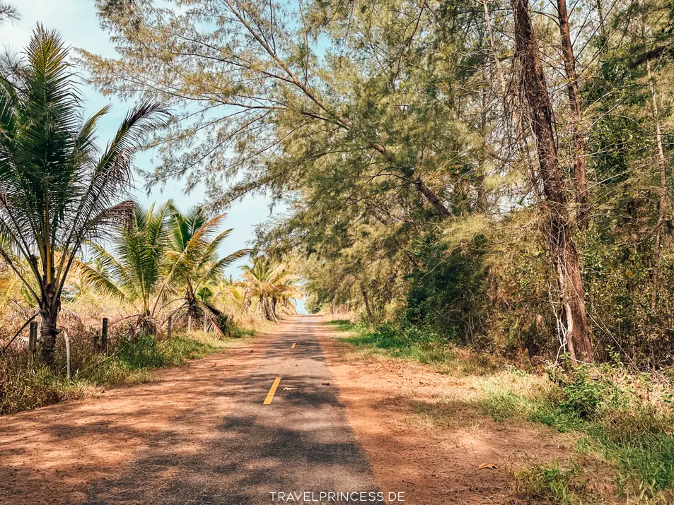 Insel Thailand Roller fahren Straßen Meer Urlaub Führerschein Reisebericht Reiseblog Travelprincess