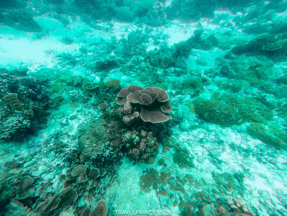 Tourenanbieter und Veranstalter zu den Similan Islands