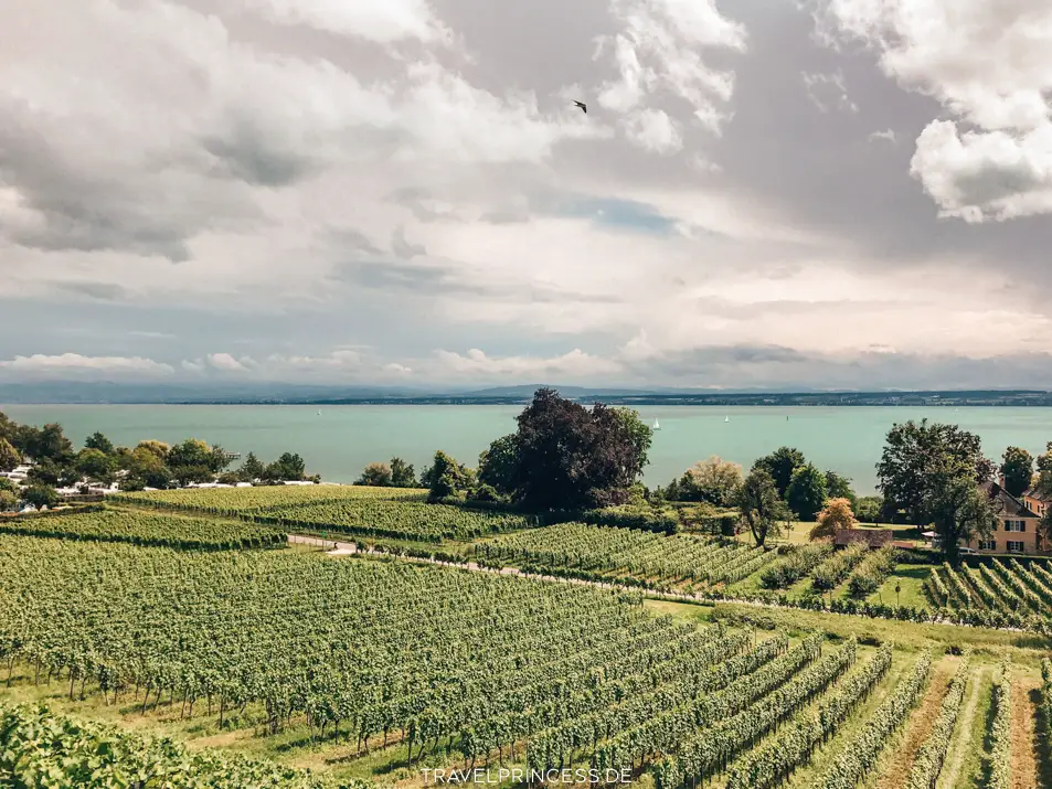 Bodensee Ausflug 49-Euro-Ticket Tipps Reiseblog Travelprincess Reisebericht