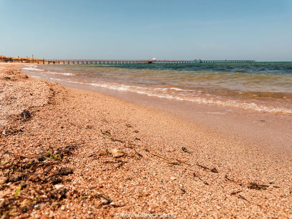 Baden Tipps Meer Marsa Alam Haie Infos Todesfälle Urlaub Unterwasserwelt Schnorcheln Tauchen Reiseblog Travelprincess Erfahrungen