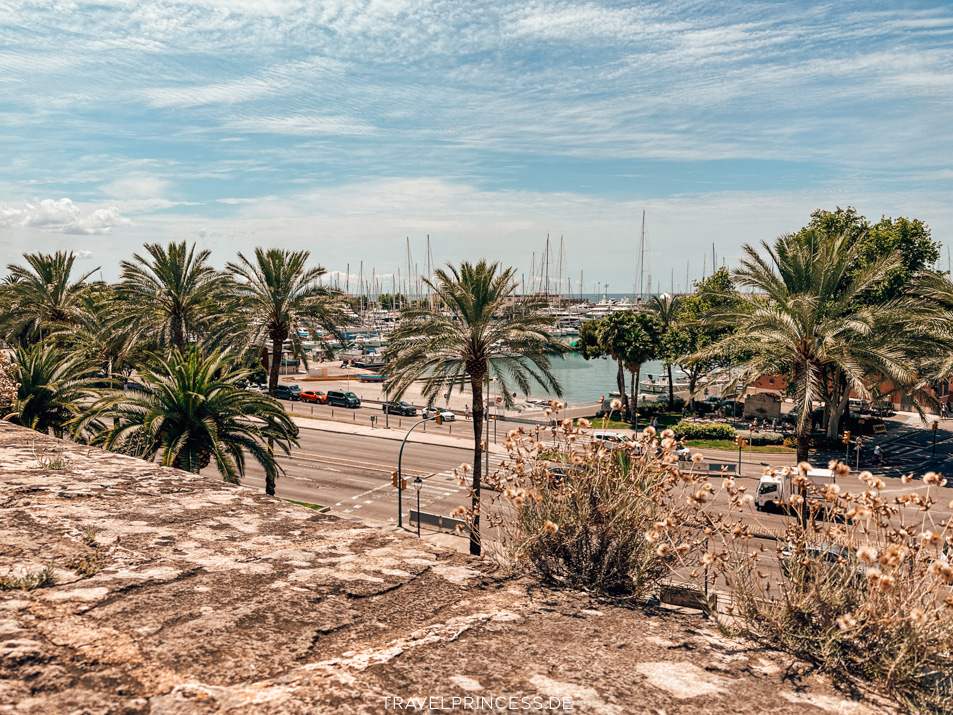 Es Baluard Museum Terrasse Ausblick Panorama Hafen Stadt Kathedrale Mallorca Tipps Reiseblog Travelprincess