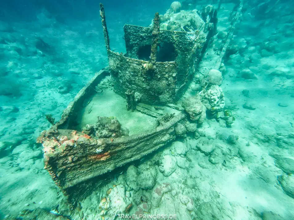 Caracasbaai Schnorcheln Tauchen Curios2Dive Erfahrungen Curaçao Unterwasserwelt Tipps Reiseblog Travelprincess Schiffswrack 