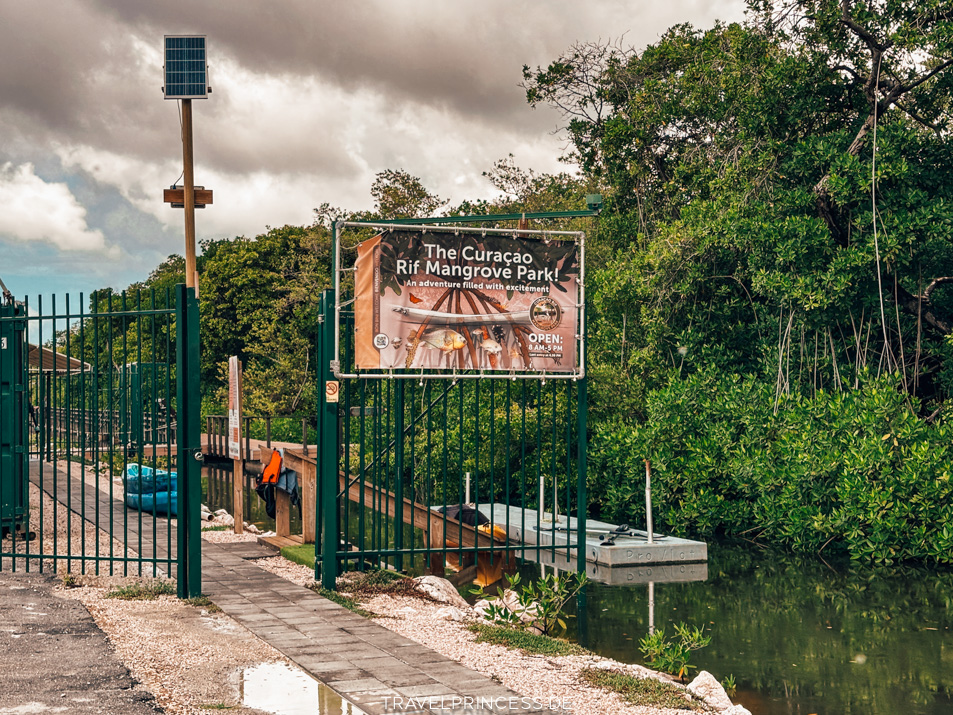 Curaçao Rif Mangrove Park Erfahrungen Tipps Urlaub Travelprincess Reiseblog