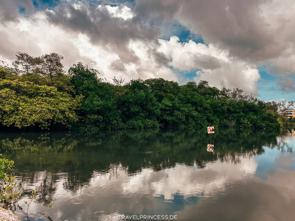 Curaçao Rif Mangrove Park Erfahrungen Tipps Urlaub Travelprincess Reiseblog