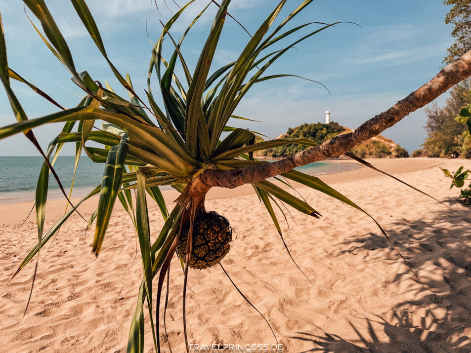 Rundweg Mu Ko Lanta Nationalpark Strände Sehenswürdigkeiten Tipps Urlaub Travelprincess Reiseblog Highlights