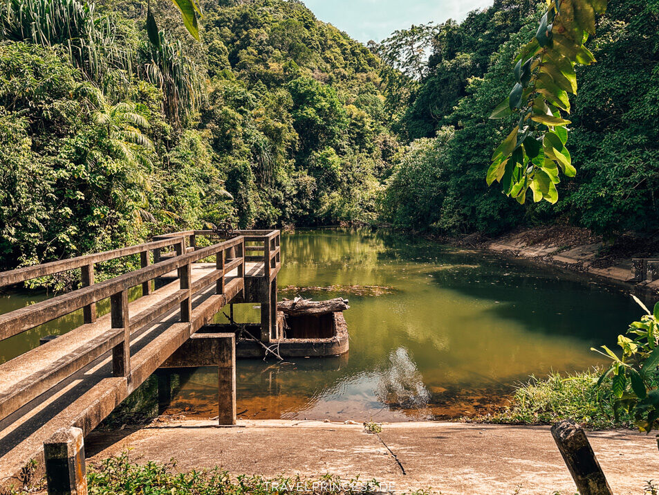 Wanderung Khlong Chak Wasserfall Tipps Erfahrungen Empfehlungen Lohnt sich der Wasserfall? Thailand Reisetipps Highlights Sehenswürdigkeiten Reiseblog Travelprincess