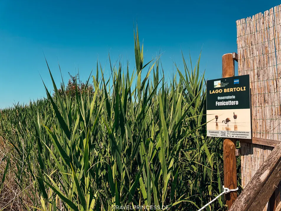 Naturpark Val Grande Bibione Reisetipps Sehenswürdigkeiten Highlights Geheimtipps Bibione und Umgebung Aktivitäten Reiseblog Travelprincess Italien Reisebericht Adria Hotel am Strand Flamingos Kajak