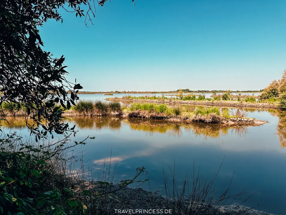 Naturpark Val Grande Bibione Reisetipps Sehenswürdigkeiten Highlights Geheimtipps Bibione und Umgebung Aktivitäten Reiseblog Travelprincess Italien Reisebericht Adria Hotel am Strand Flamingos Kajak