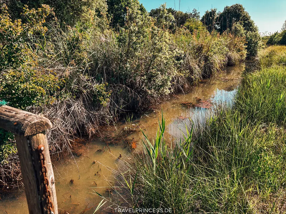 Naturpark Val Grande Bibione Reisetipps Sehenswürdigkeiten Highlights Geheimtipps Bibione und Umgebung Aktivitäten Reiseblog Travelprincess Italien Reisebericht Adria Hotel am Strand
