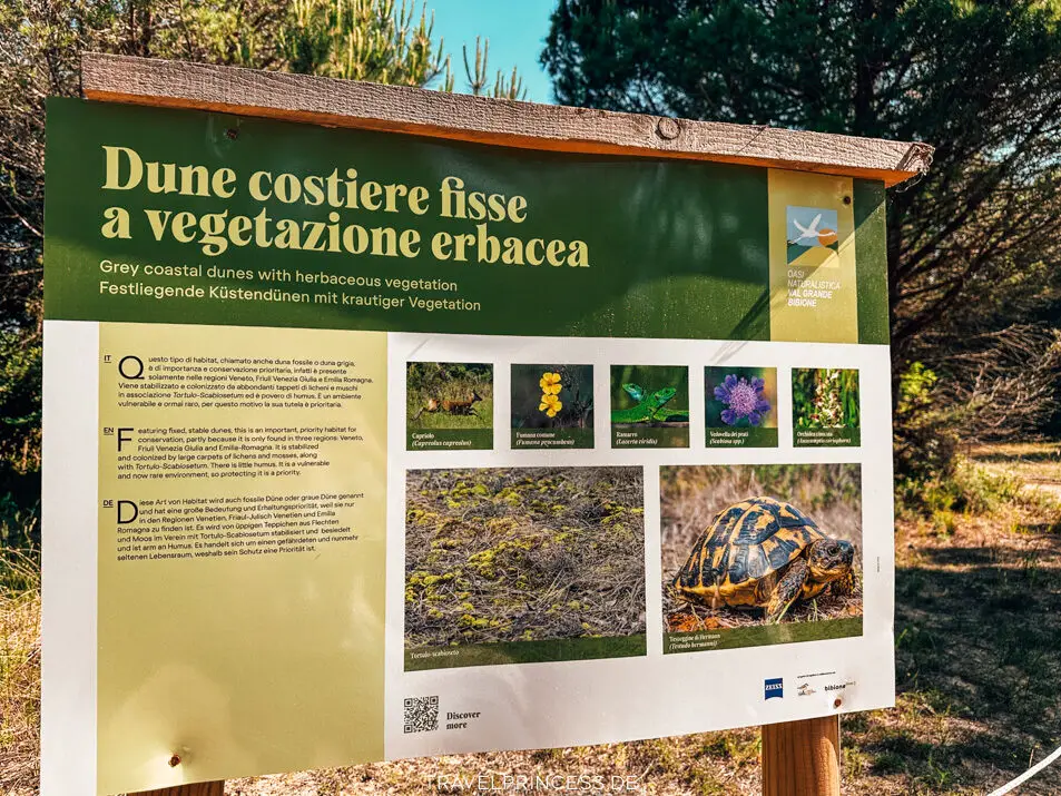Naturpark Val Grande Bibione Reisetipps Sehenswürdigkeiten Highlights Geheimtipps Bibione und Umgebung Aktivitäten Reiseblog Travelprincess Italien Reisebericht Adria Hotel am Strand