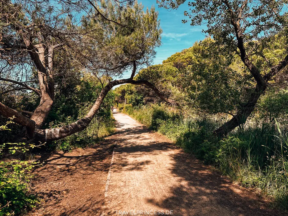 Küstenradweg Bibione am Meer Fahrrad fahren Fahrrad leihen Italien Reisebericht Highlights Sehenswürdigkeiten Faro di Bibione Leuchtturm von Bibione Reiseblog Travelprincess Italien