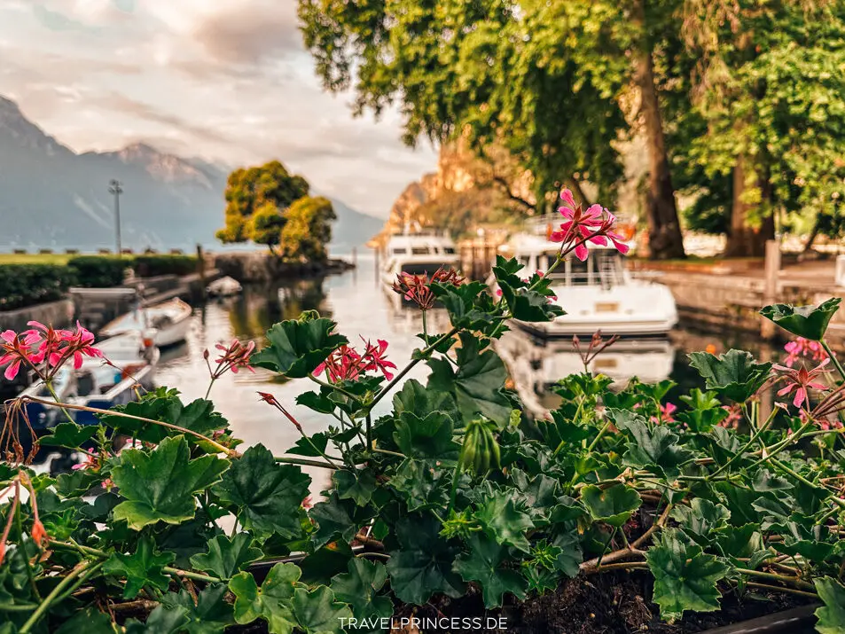 Ist Riva del Garda schön? Lohnt es sich? Gardasee Urlaub Travelprincess Reiseblog