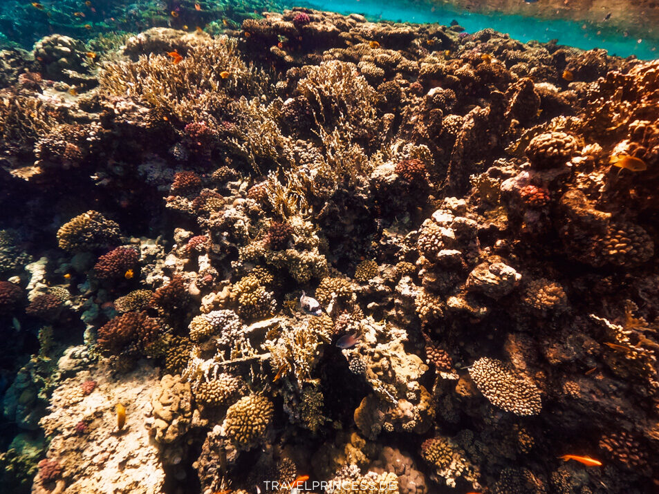Weiterempfehlung Sentido Naga Bay - Erfahrungsbericht Bewertungen Reisebericht Reiseartikel Reiseblog Travelprincess Ägypten Tipps