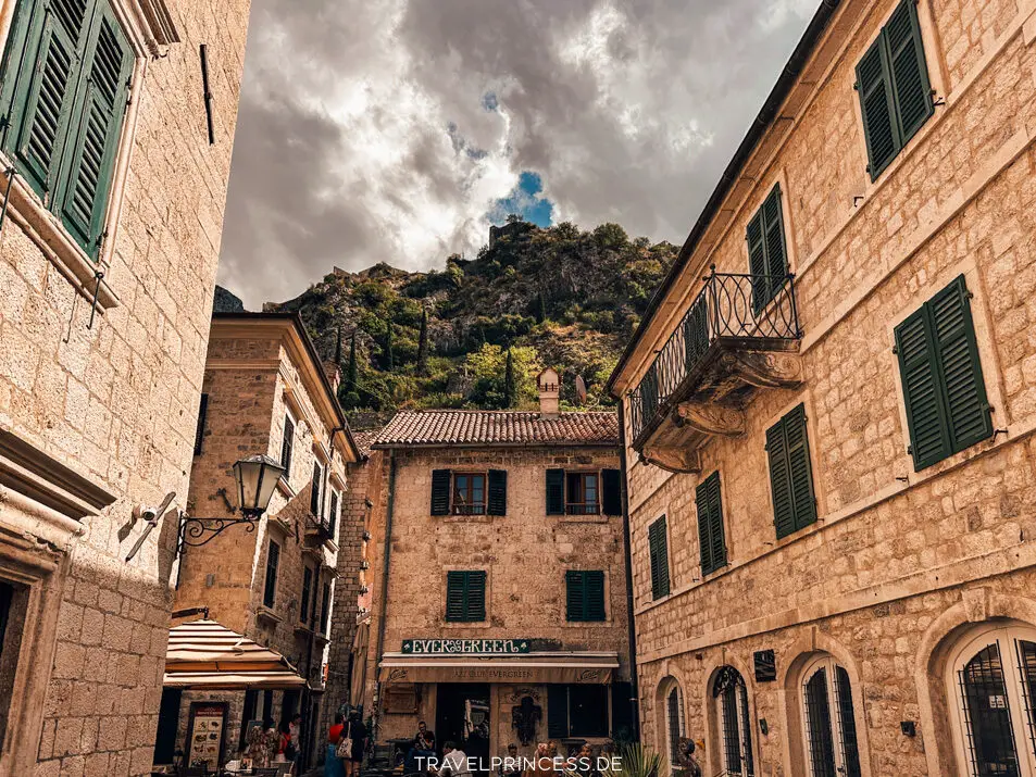Kotor Montenegro Sehenswürdigkeiten Highlights Tipps Reiseführer Travelprincess Reiseblog Katzen