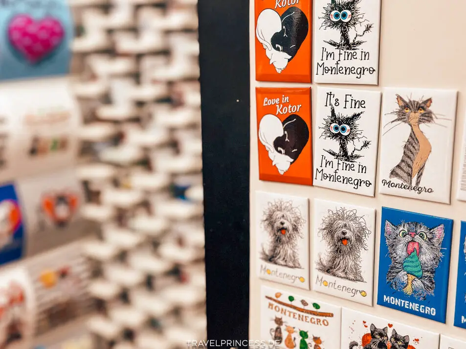 Kotor Montenegro Sehenswürdigkeiten Highlights Tipps Reiseführer Travelprincess Reiseblog Katzen