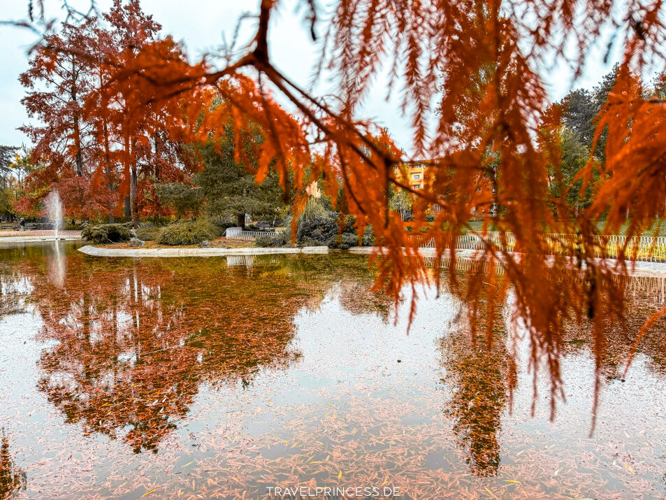 Novi Sad Serbien Reisebericht Sehenswürdigkeiten Highlights Travelprincess Reiseblog Reiseführer Reisetipps