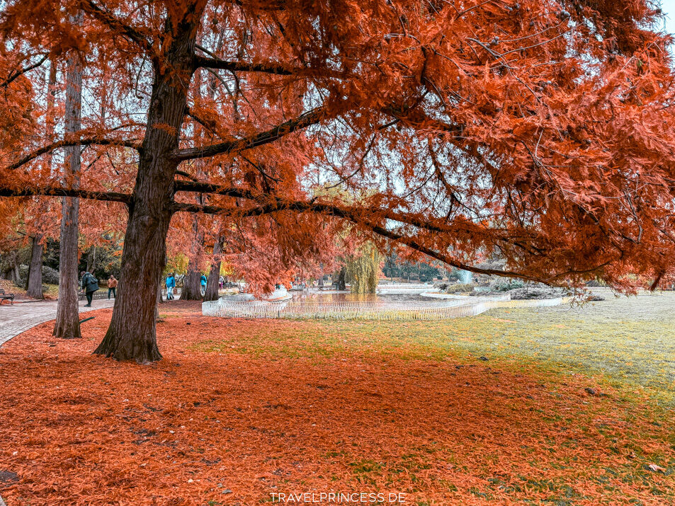 Lohnt sich ein Städtetrip nach Belgrad? Reisetipps Sehenswürdigkeiten Highlights Reisebericht Serbien Reiseblog Travelprincess Urlaub Novi Sad Ausflug Tipps