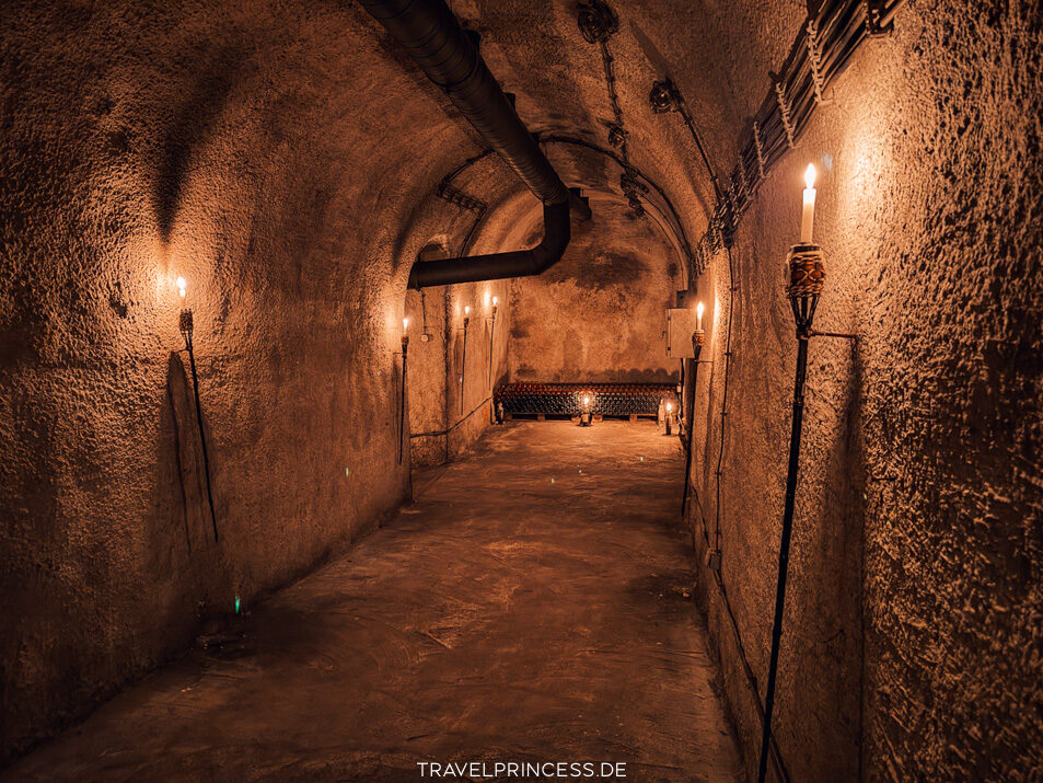 Serbien Wine Cellar Panajotovic Weinprobe Winetasting buchen reservieren Reisebericht Reiseblog Travelprincess