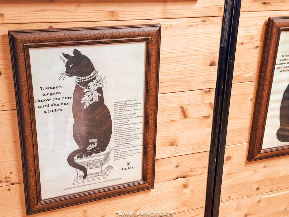 Cats Museum Katzenmuseum Katzenpark Kotor Montenegro Reiseblog Travelprincess Reisetipps Urlaub Reisebericht Reiseführer