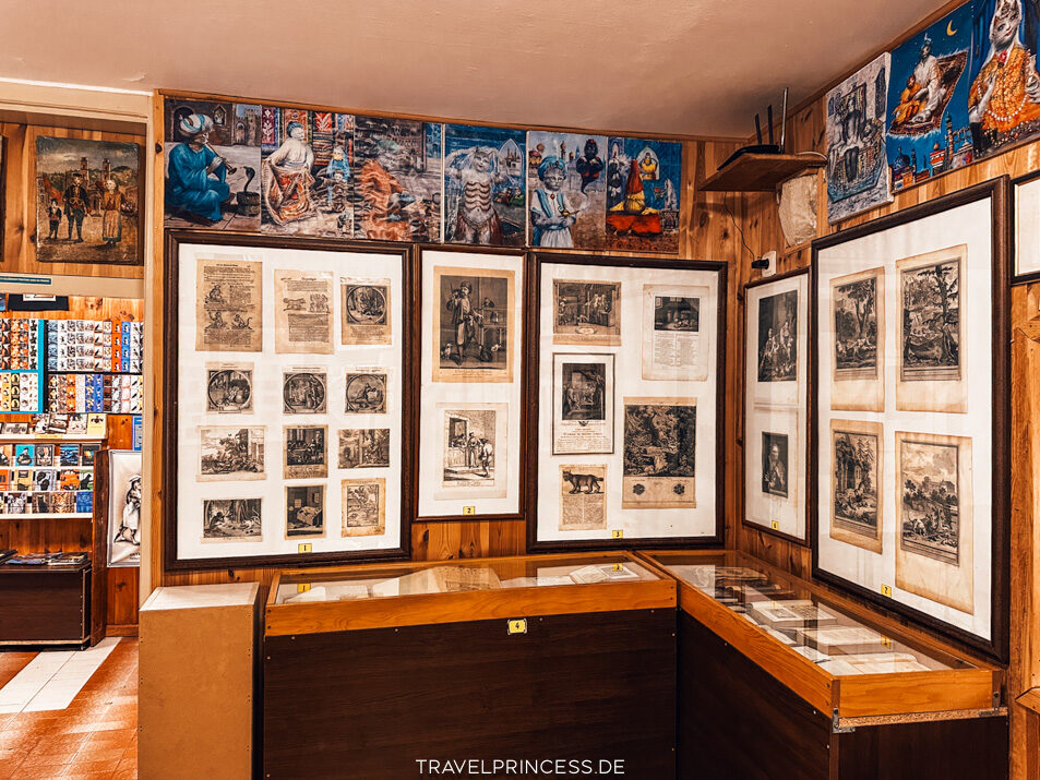 Cats Museum Katzenmuseum Katzenpark Kotor Montenegro Reiseblog Travelprincess Reisetipps Urlaub Reisebericht Reiseführer